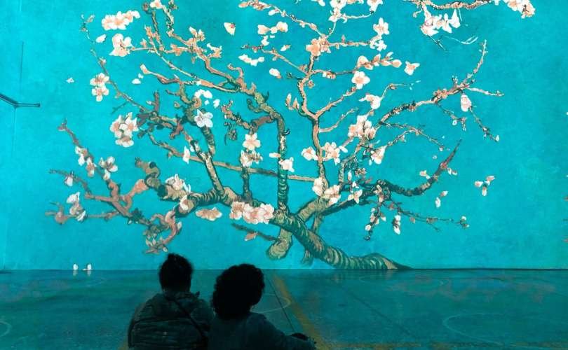 People sitting on a floor looking at Almond Blossom painting at Immersive Van Gogh Exhibit